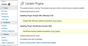 Wordpress Successful Updates