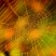 web