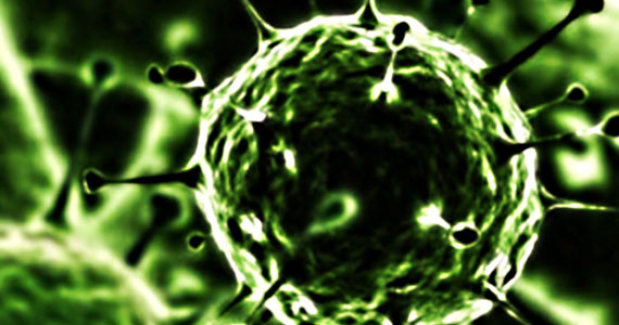 virus